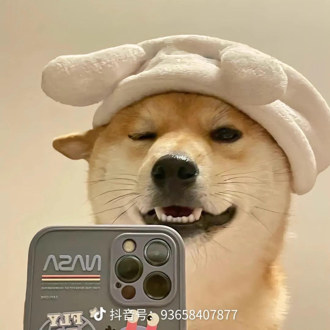 暖若安阳.