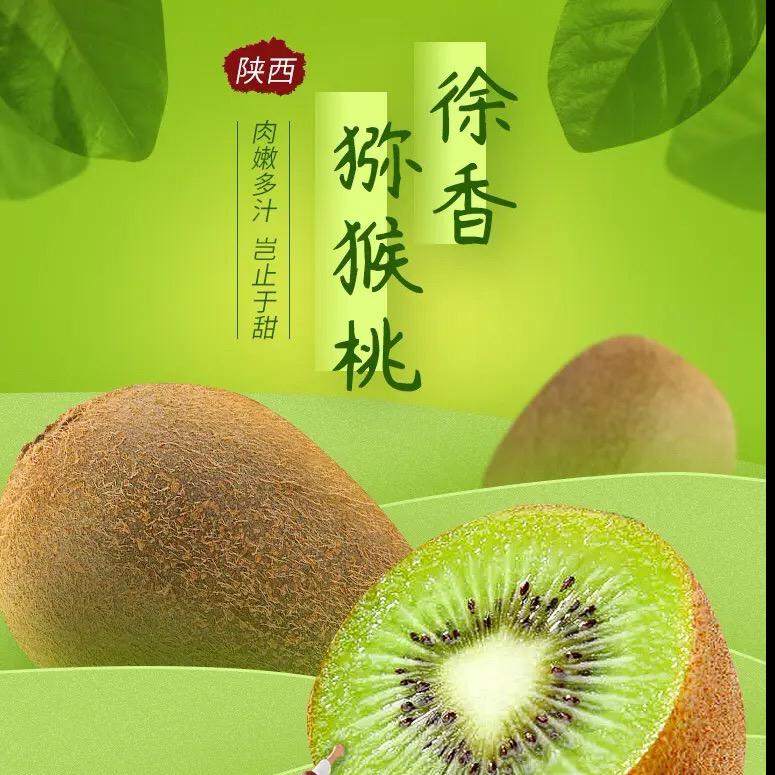 只求一份安静