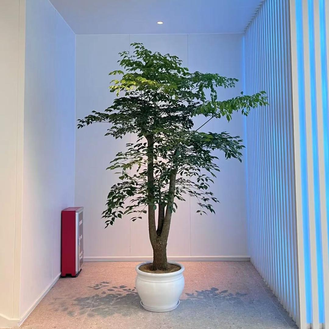 南陵量子速代💵