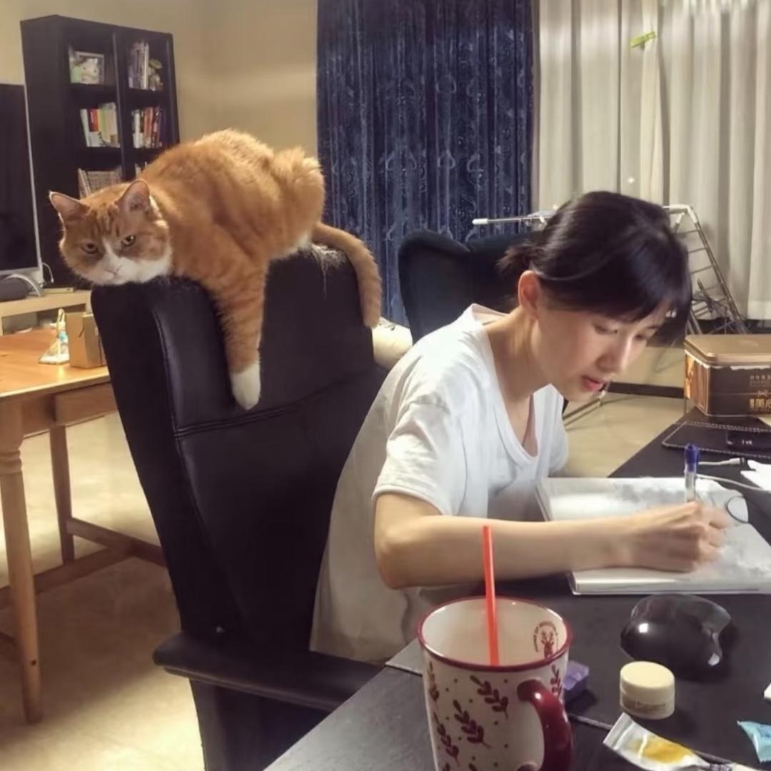 海苔脆