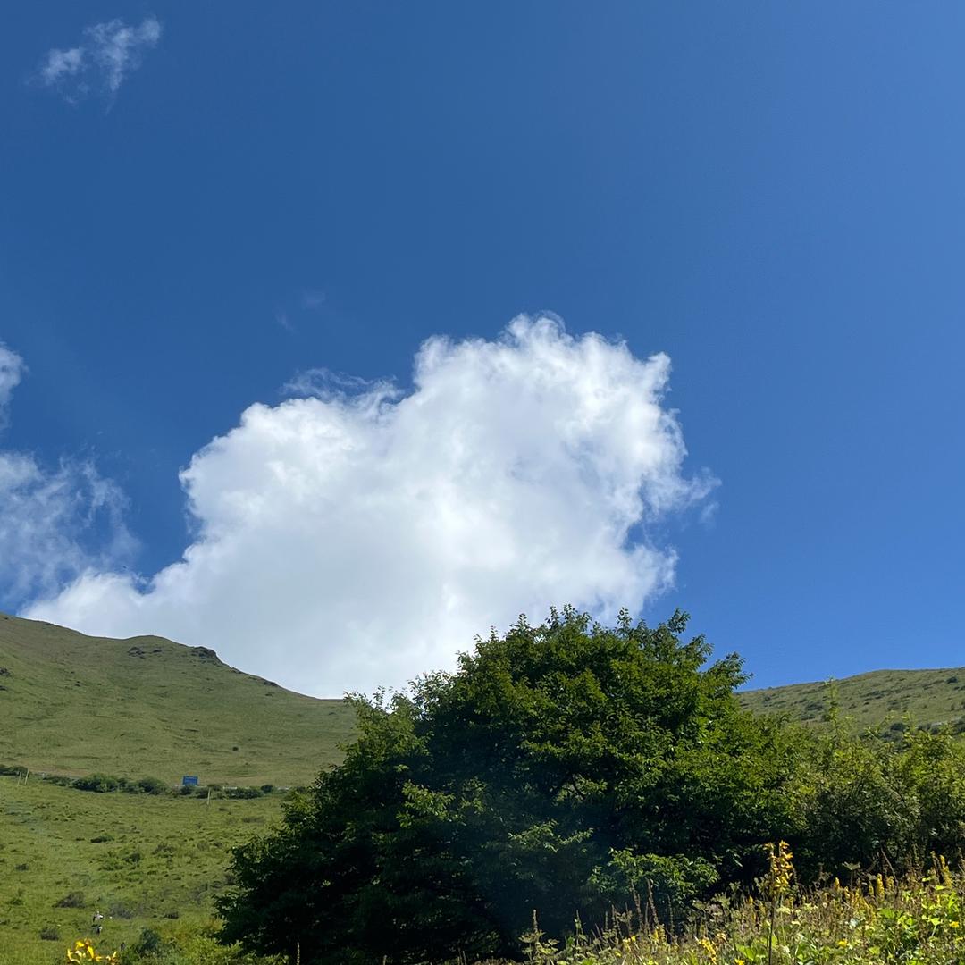 刘老二的自留地