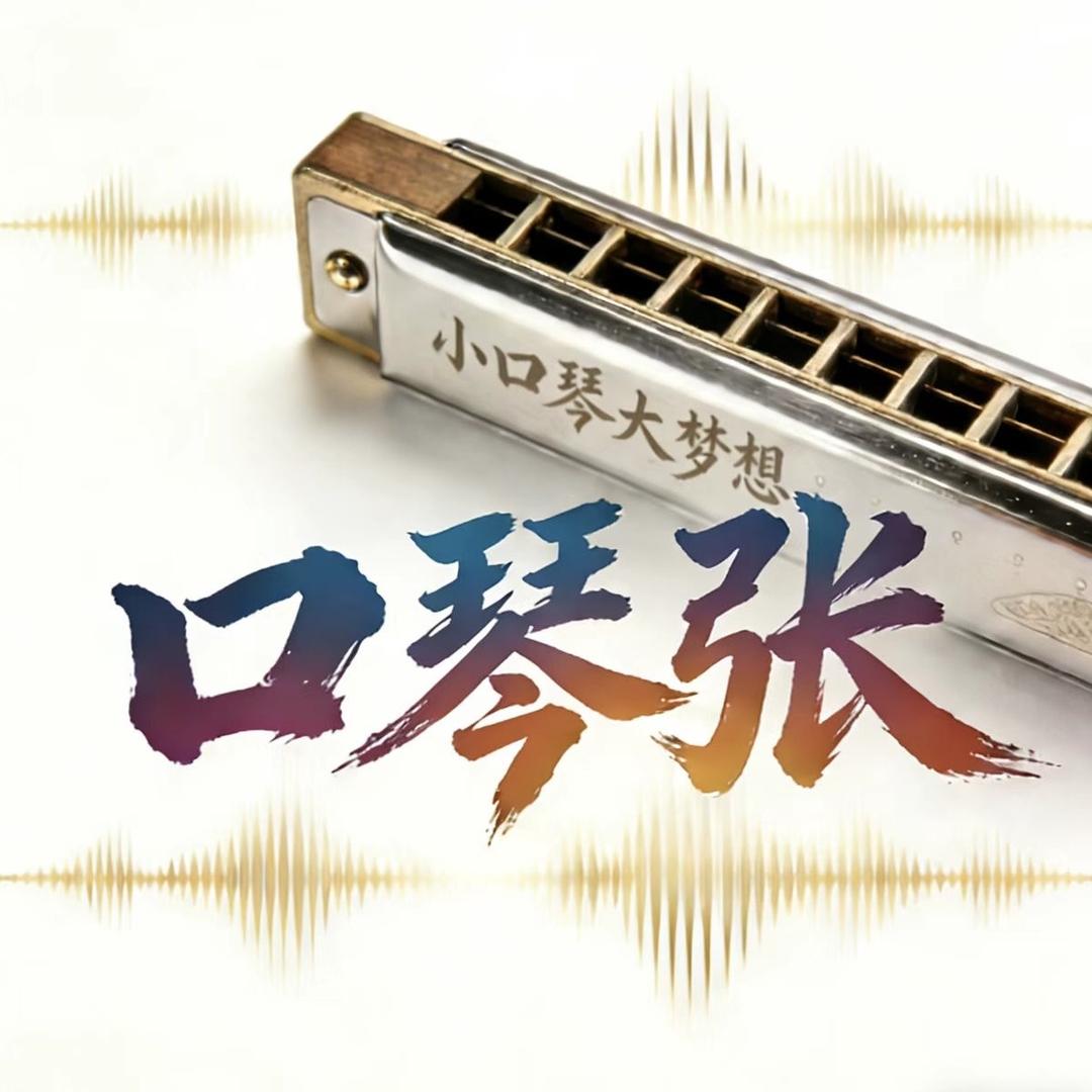 口琴张