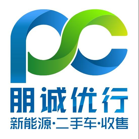 朋诚新能源二手车（老林）