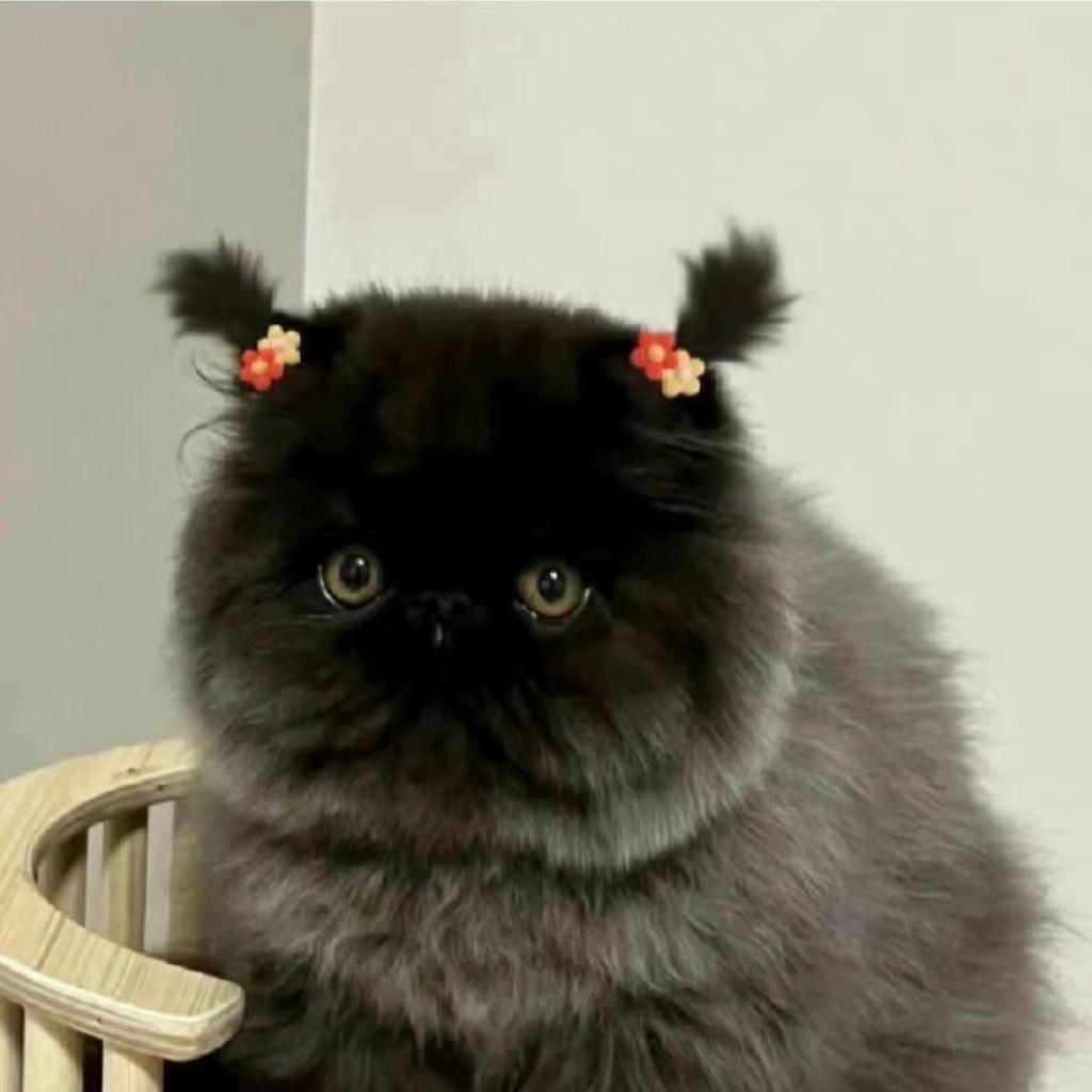 lllllllllI