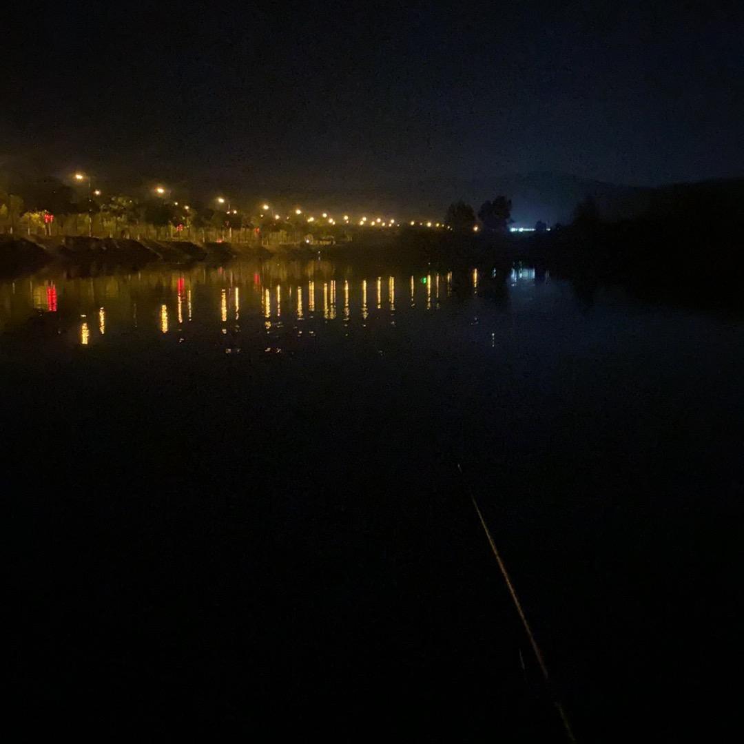 淮北鲢霸