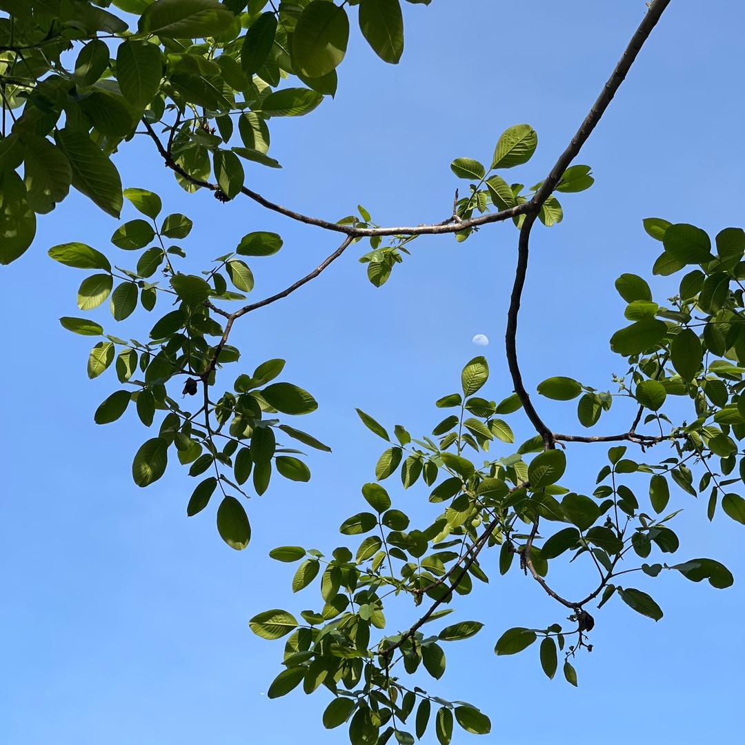 平淡生活