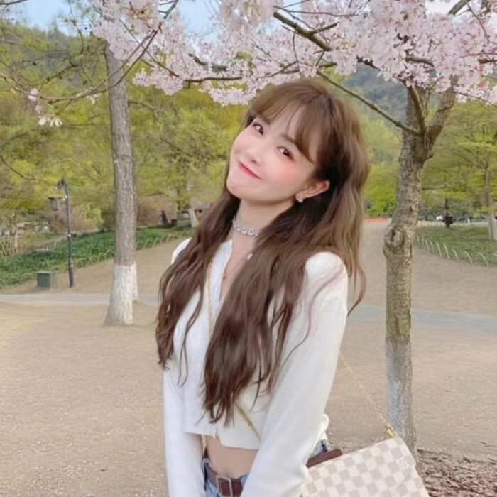 💕燕子