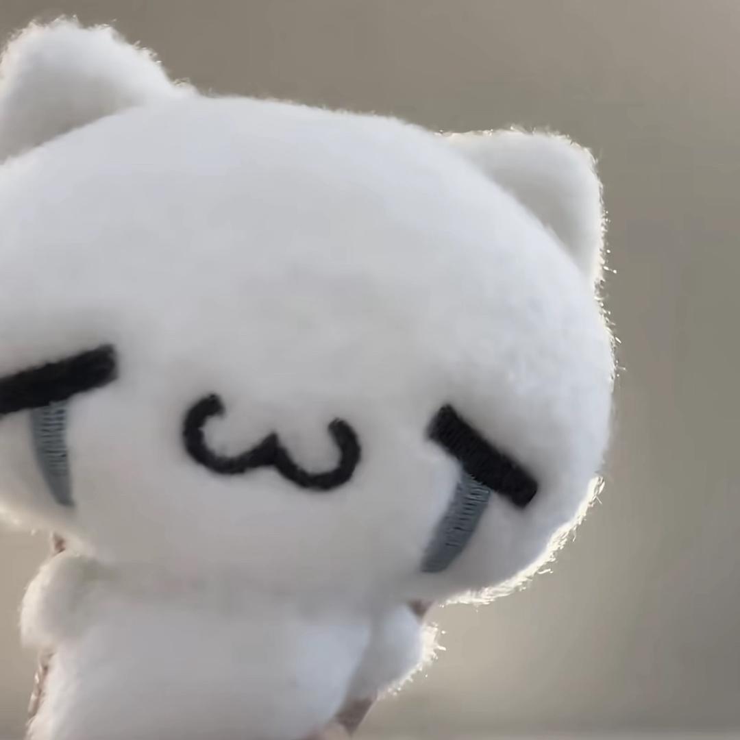 泡菜鱼啊