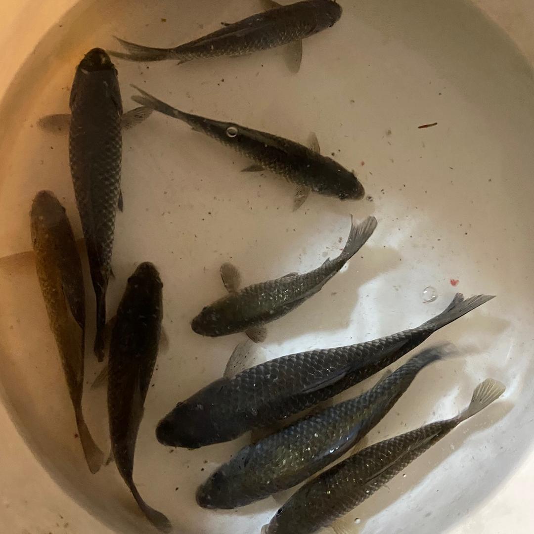 1  9  8  4《单身》