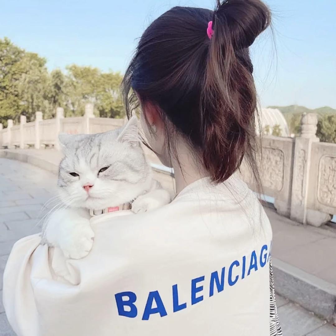 小小羊