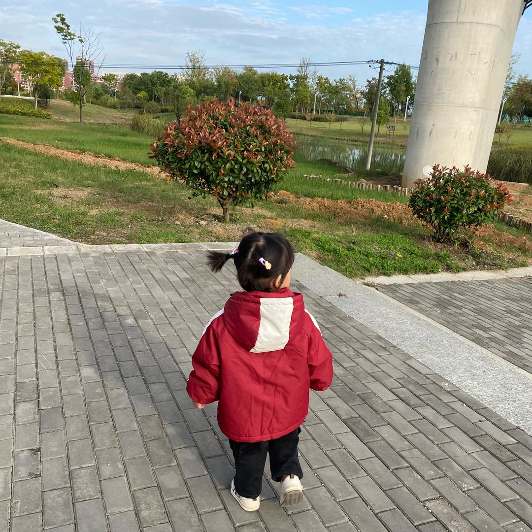 🍄🍄🍋🍋🐑⋆͛ᵞᵐ