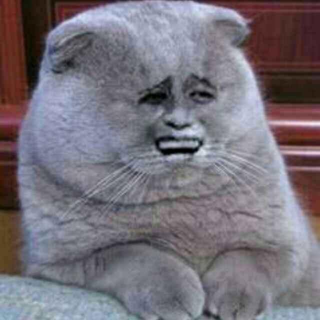 一叶知秋