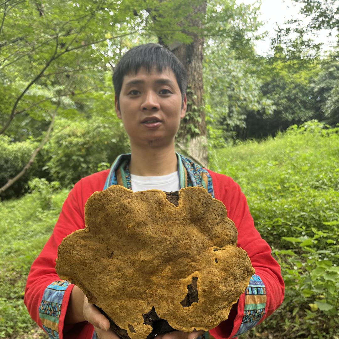 胖虎山珍滋补