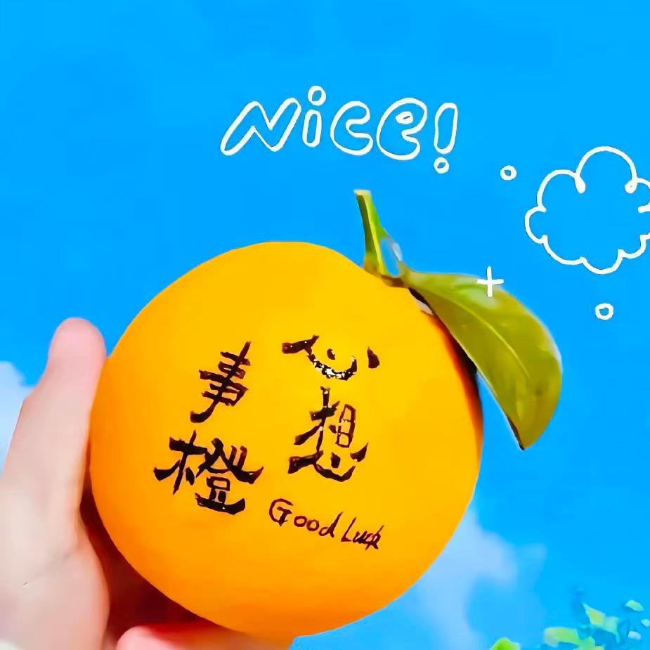 *^_^*好运🌻满格💞