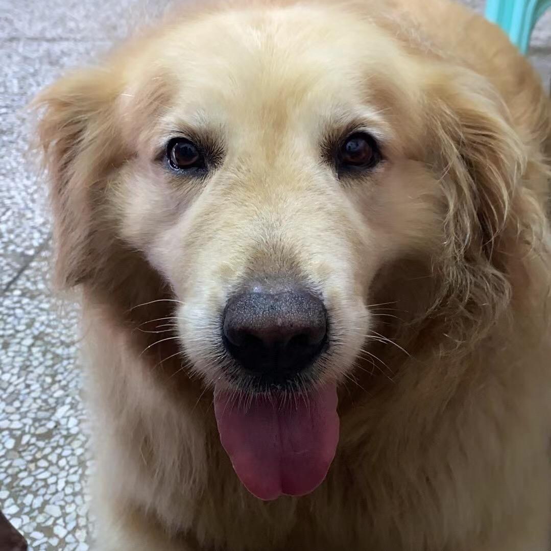 刘lucky💕