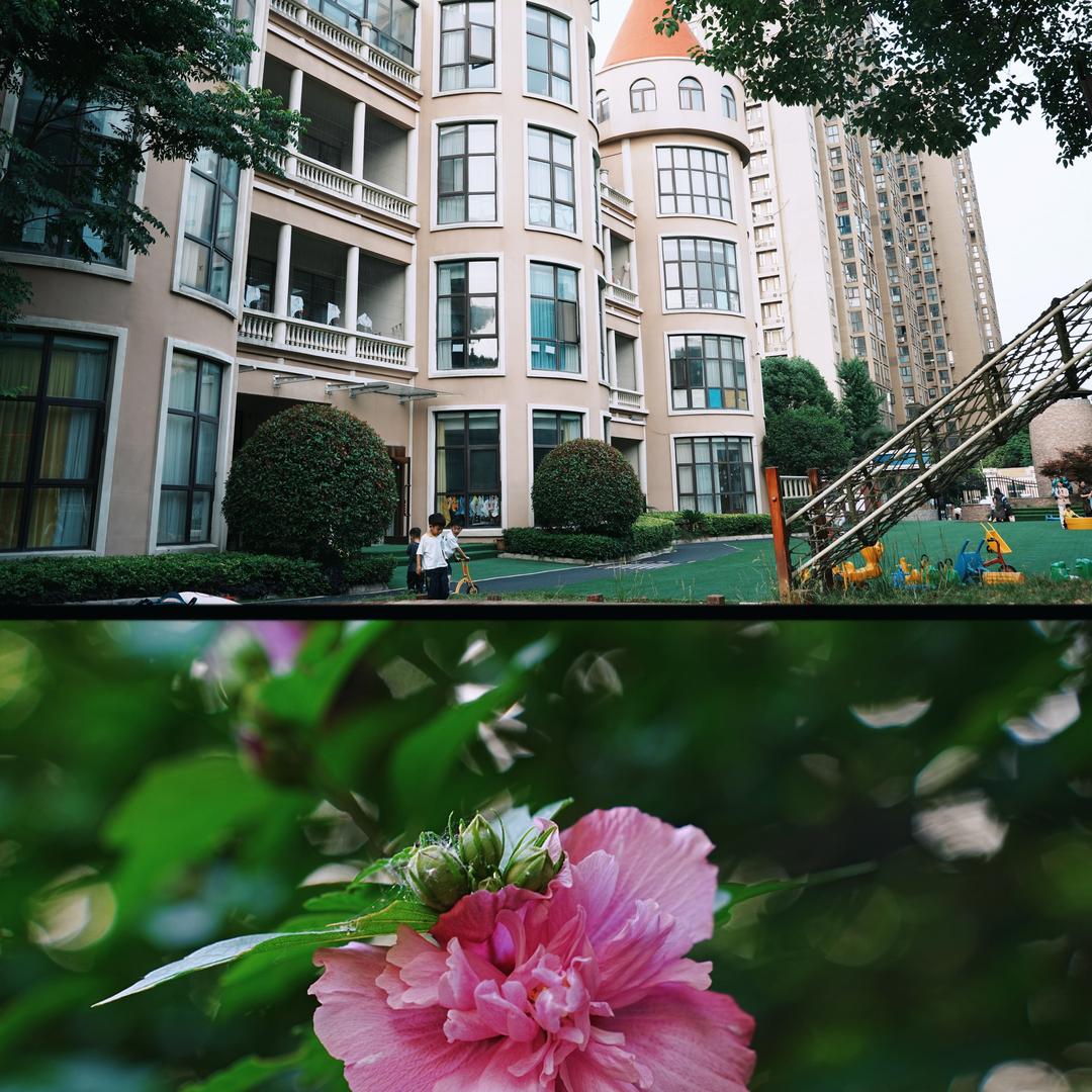 安徒生幼儿园茜茜老师👩‍🏫