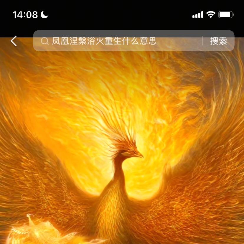 淮北市相山区霓辰商行（个体工商户）