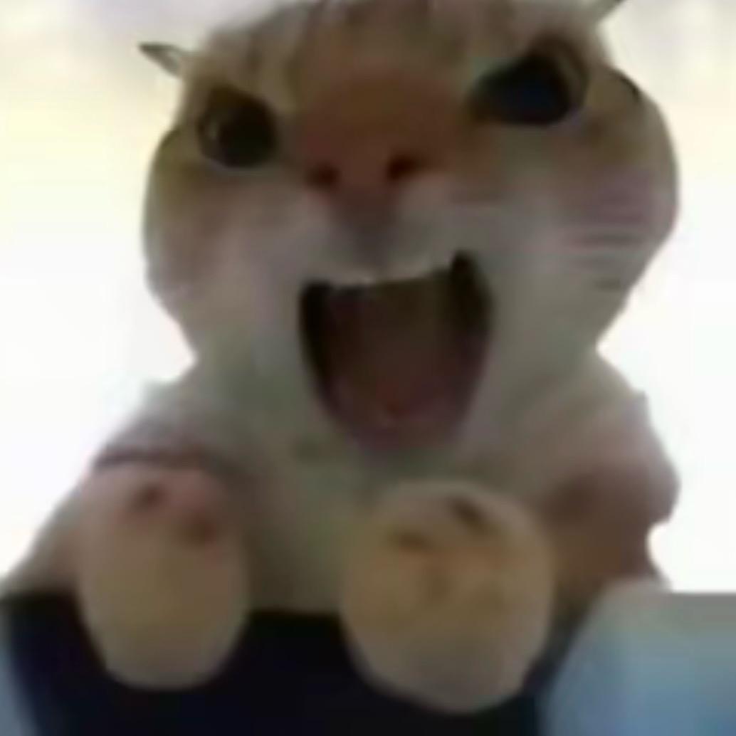 威职游泳馆天天