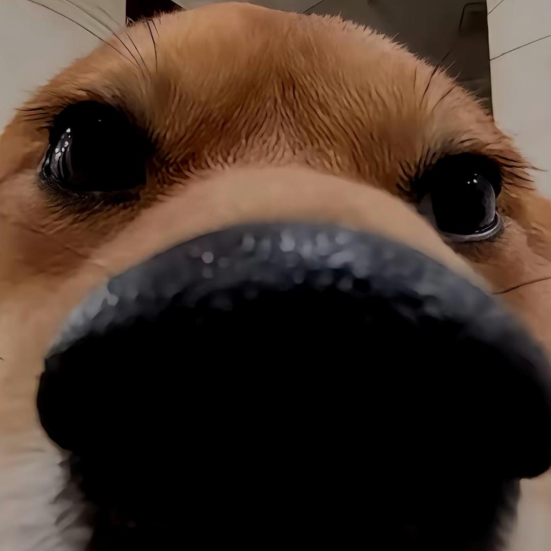 给我一首歌的时间.