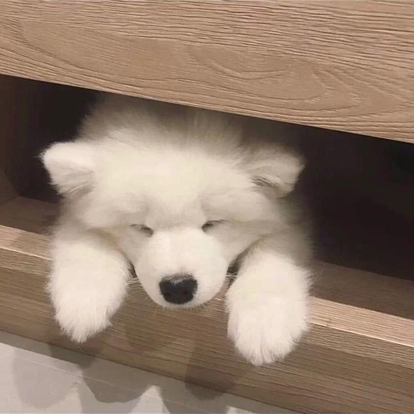 冰刃在窗外零碎