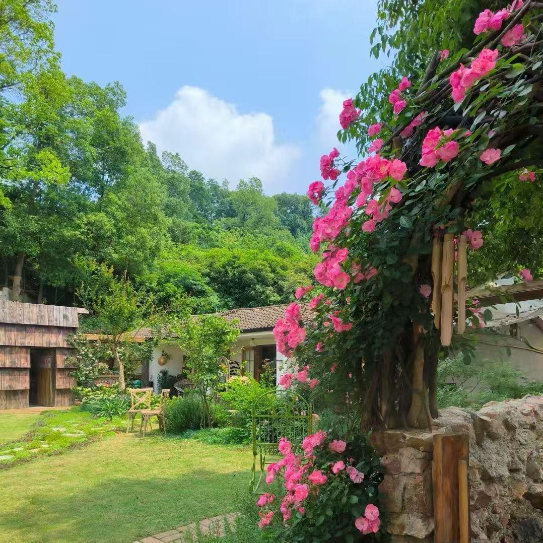 会飞的鱼💃🍎