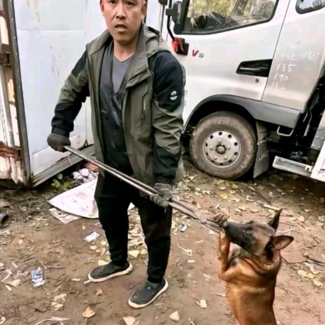 AAA朗哥专业套狗