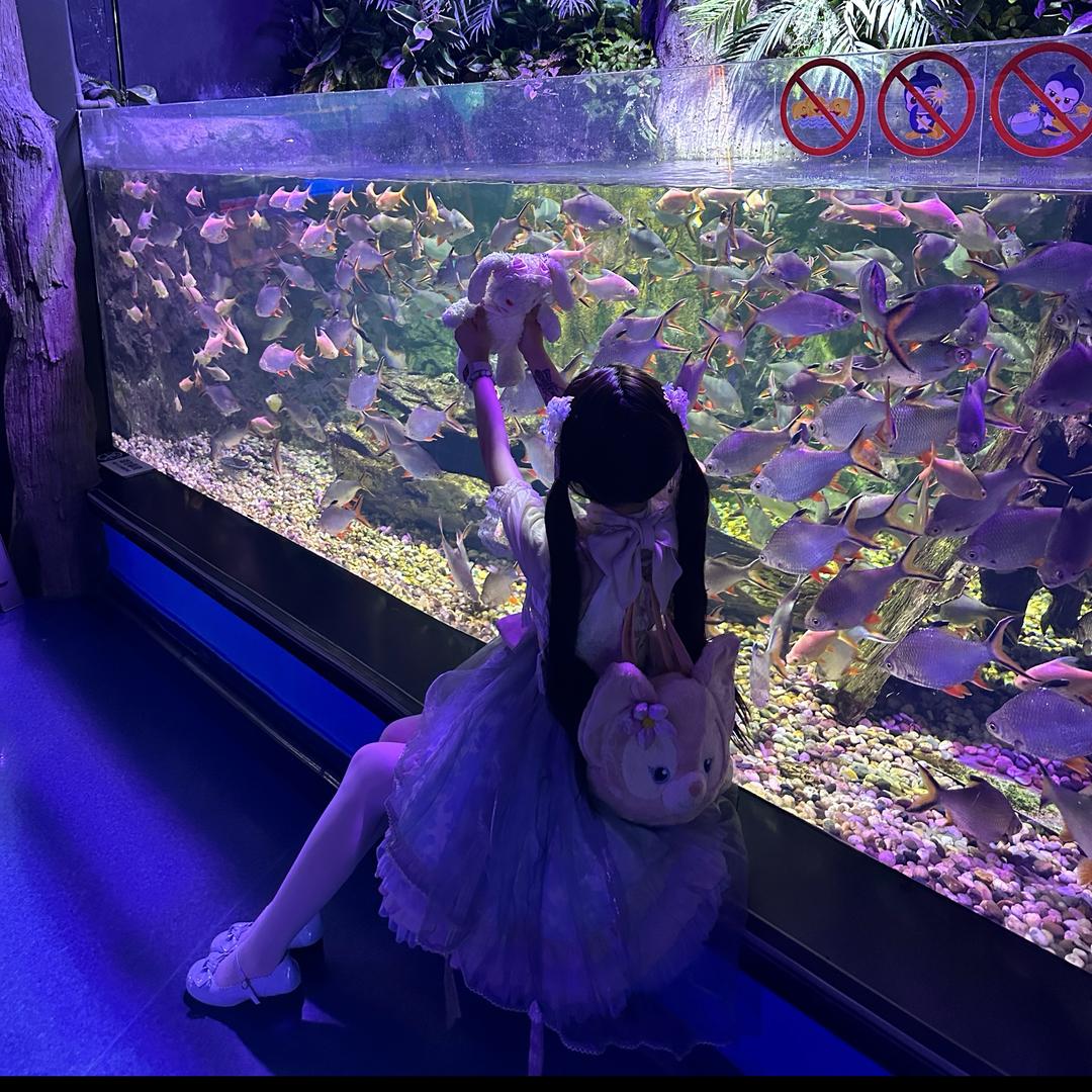 呆呆莹