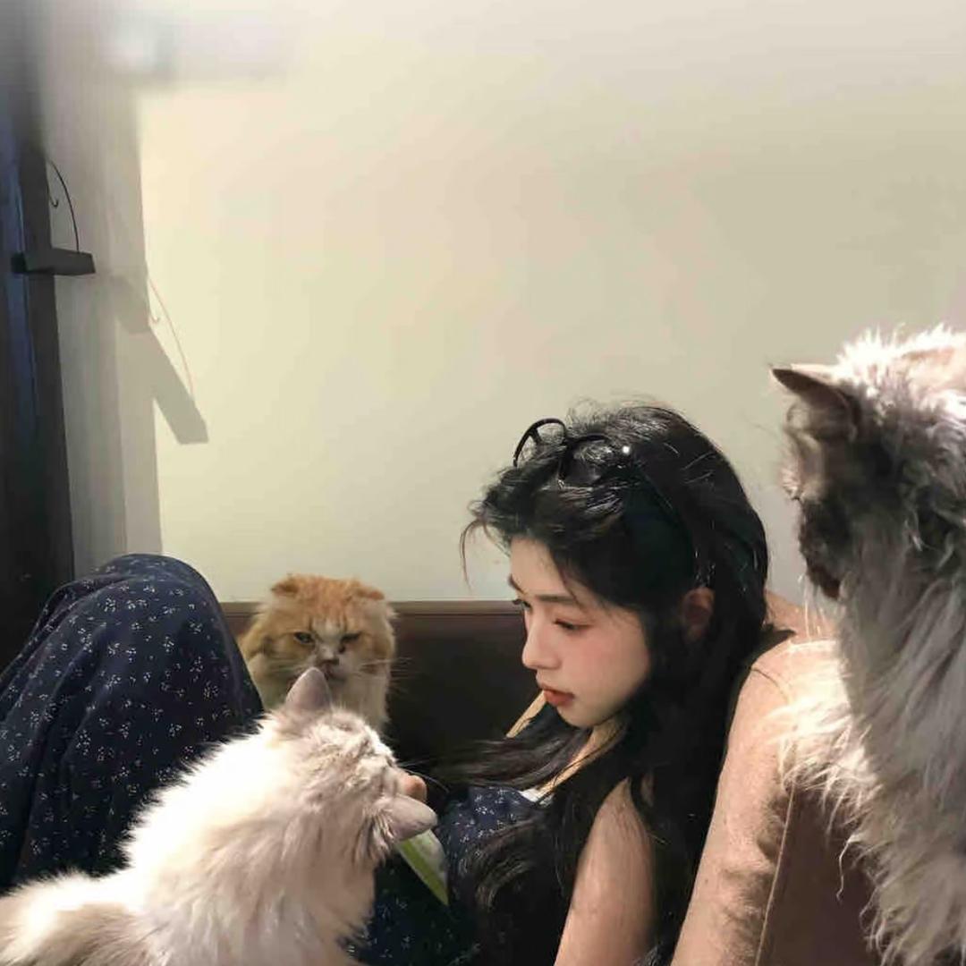 阿哈