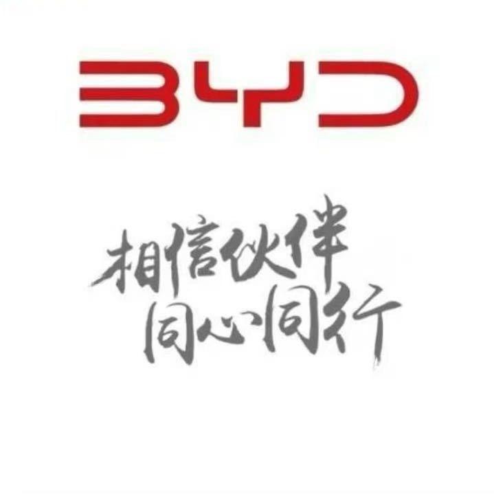 比亚迪对公网约车-小周