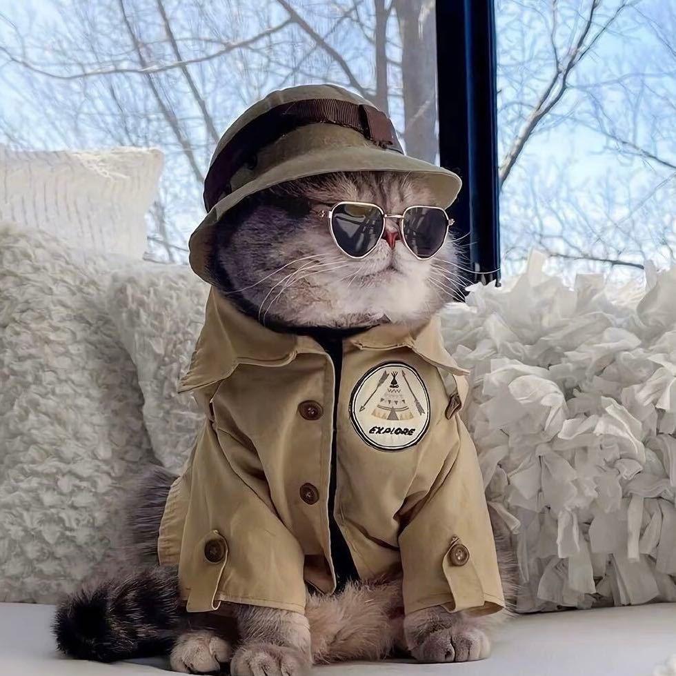 一只小🍊（晨）子