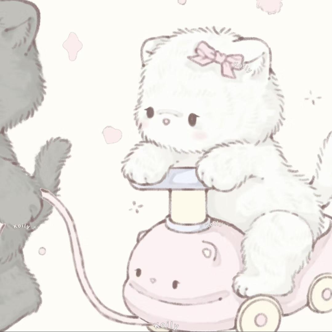 娃娃菜里没娃娃