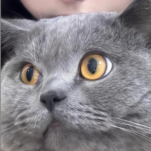 qq.