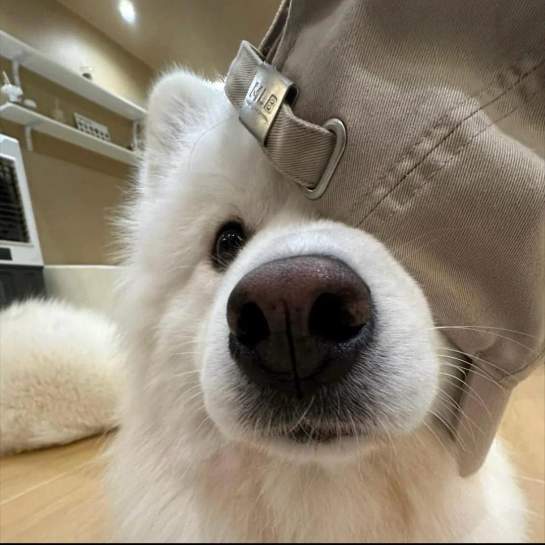 ᴶ