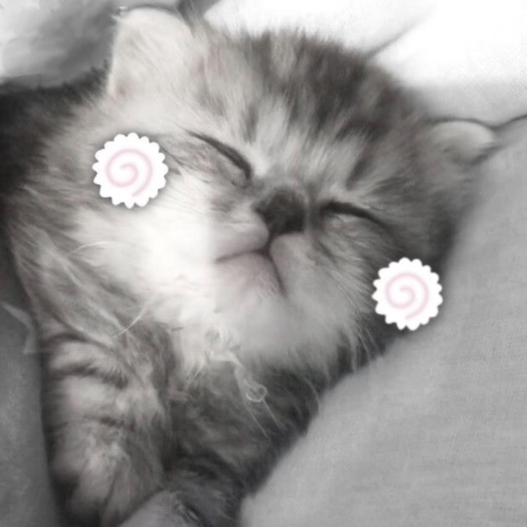 iwanttosleepallday