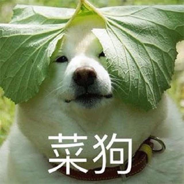 小小彬