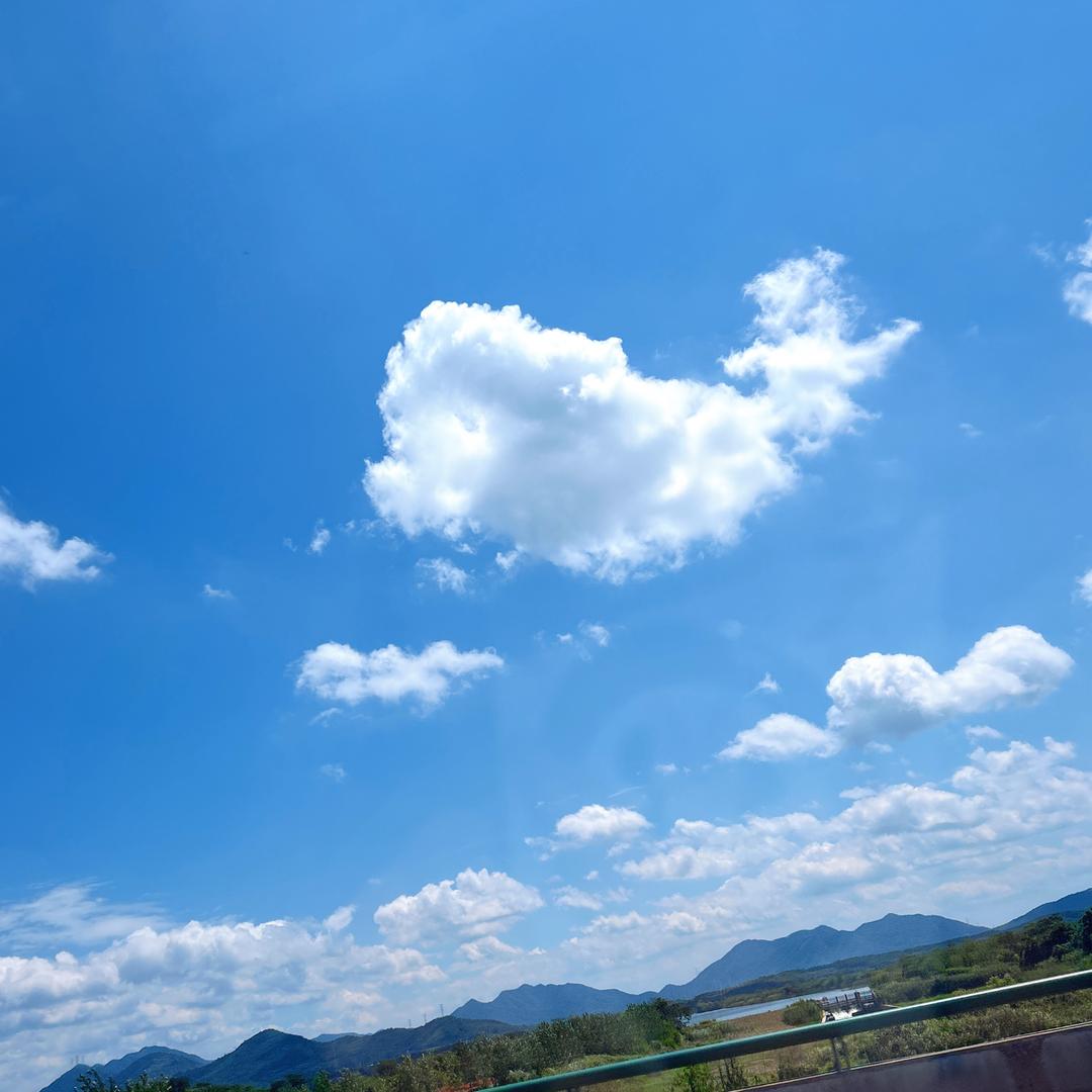 汪晨