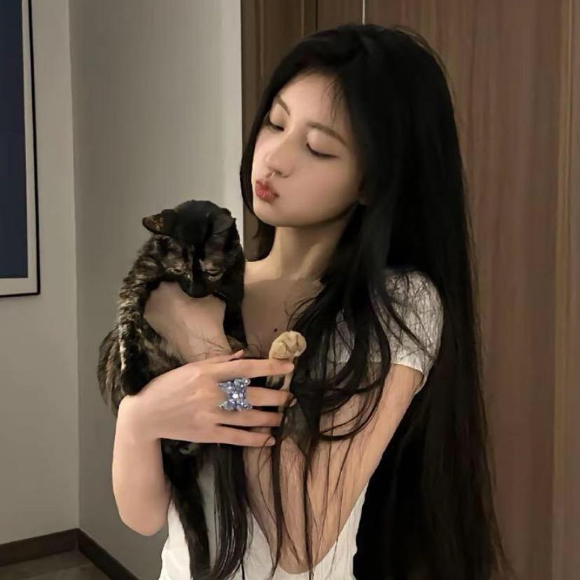 菲菲鱼