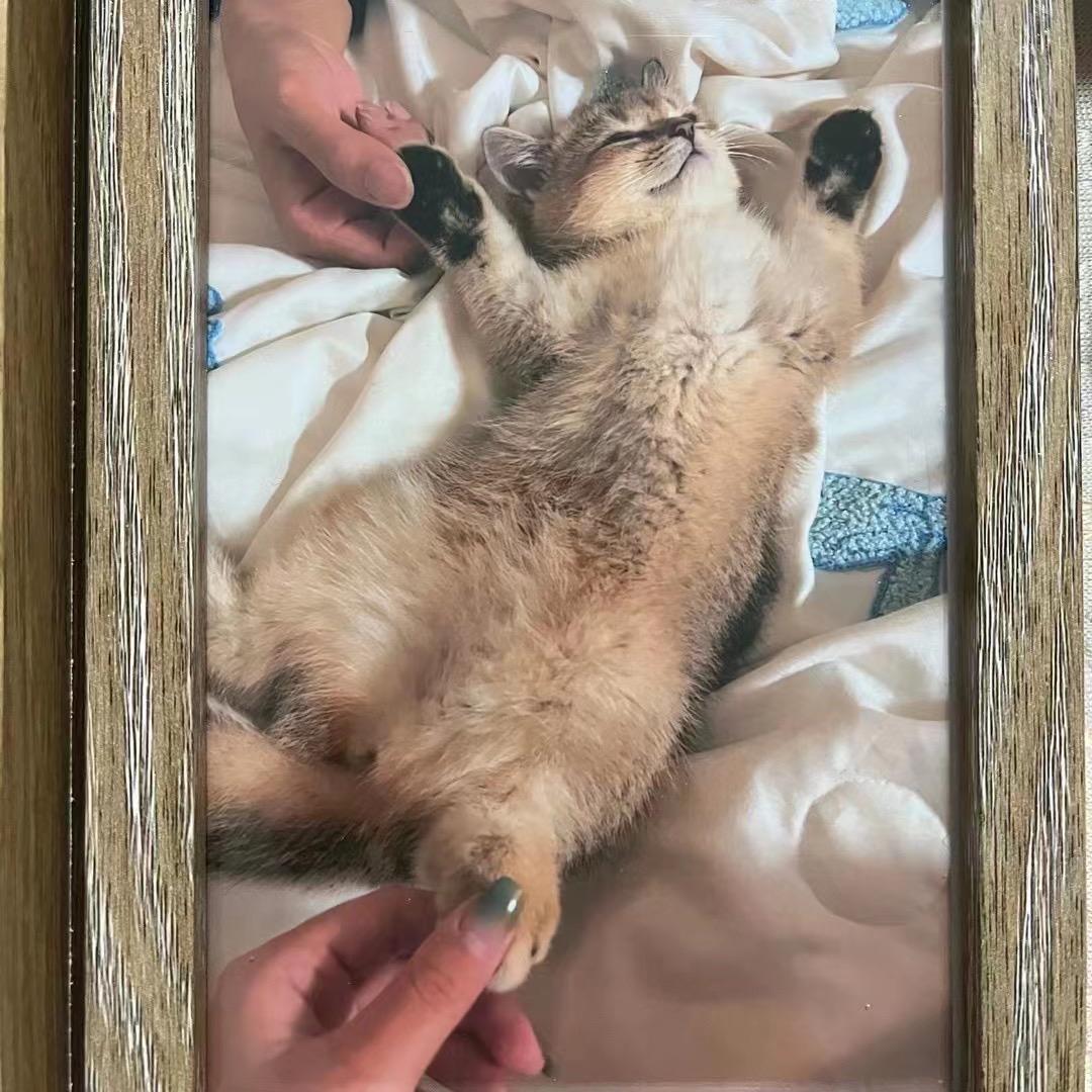 凰冠养殖有限公司