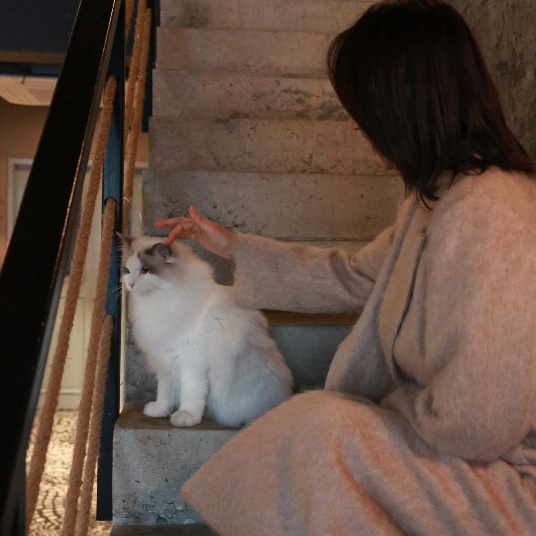 文文的养生圈💕