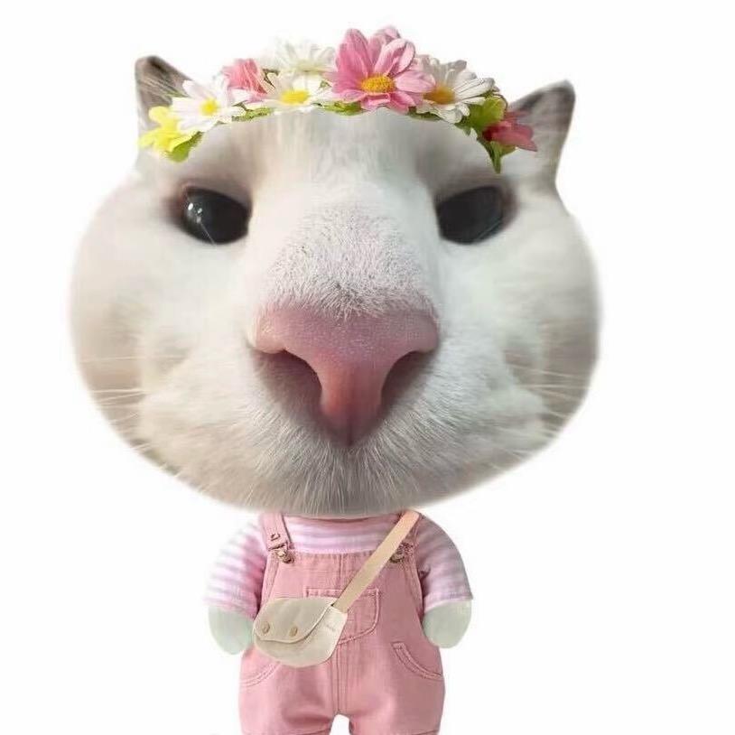 不吃了