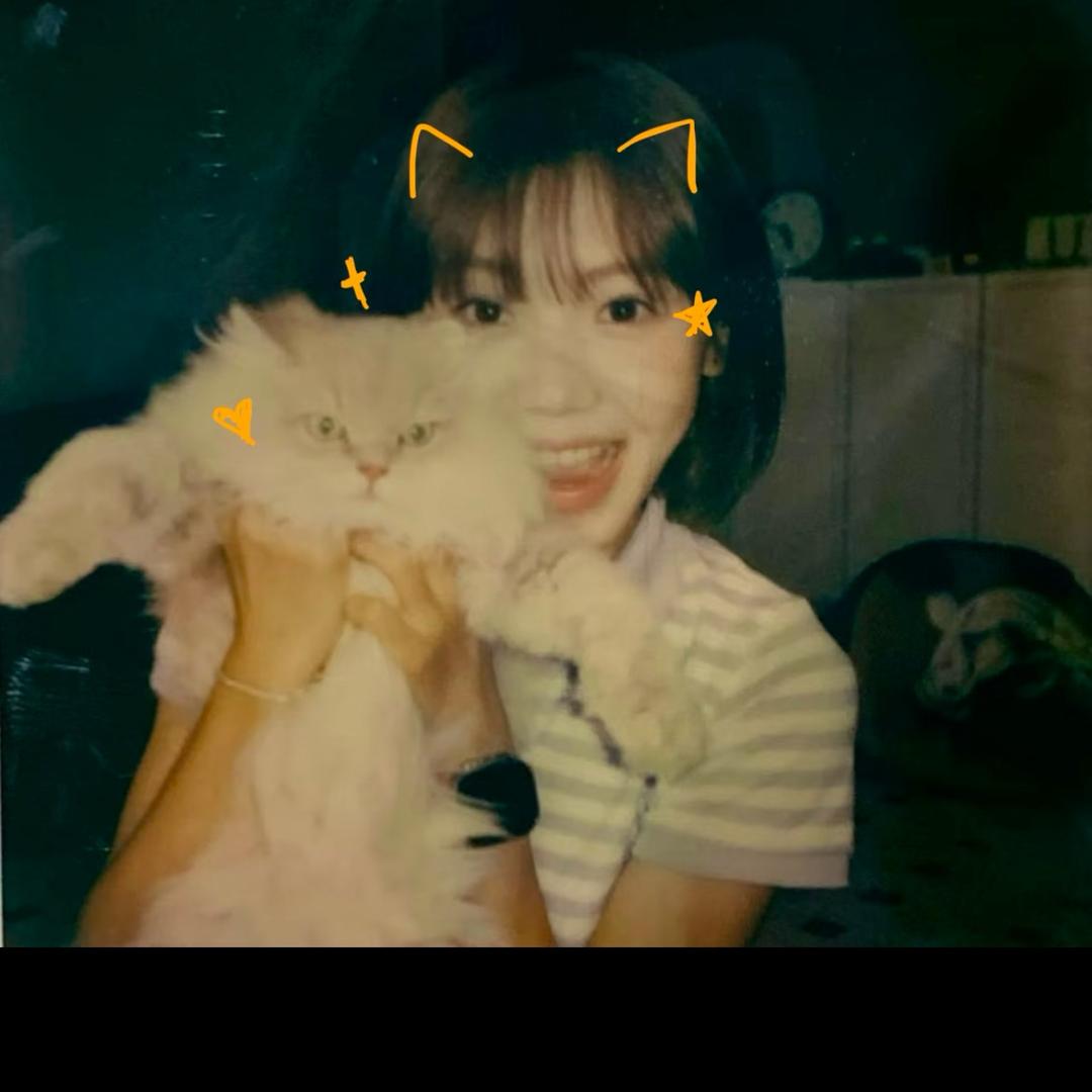 木木王子-