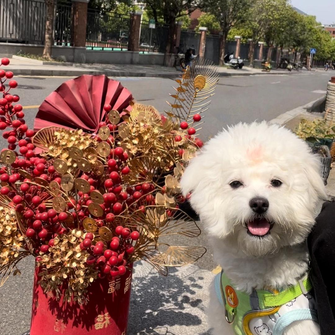 植光花艺