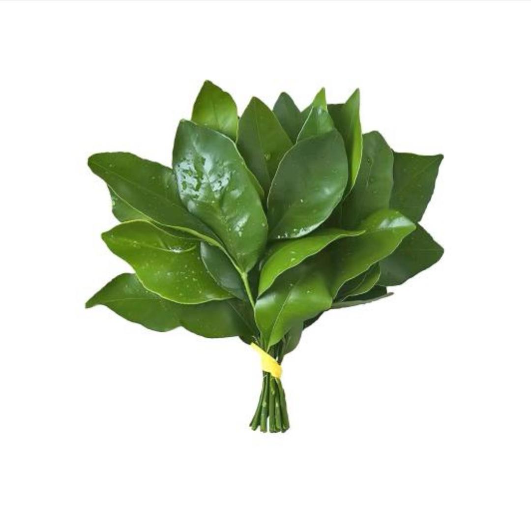 好运莲莲