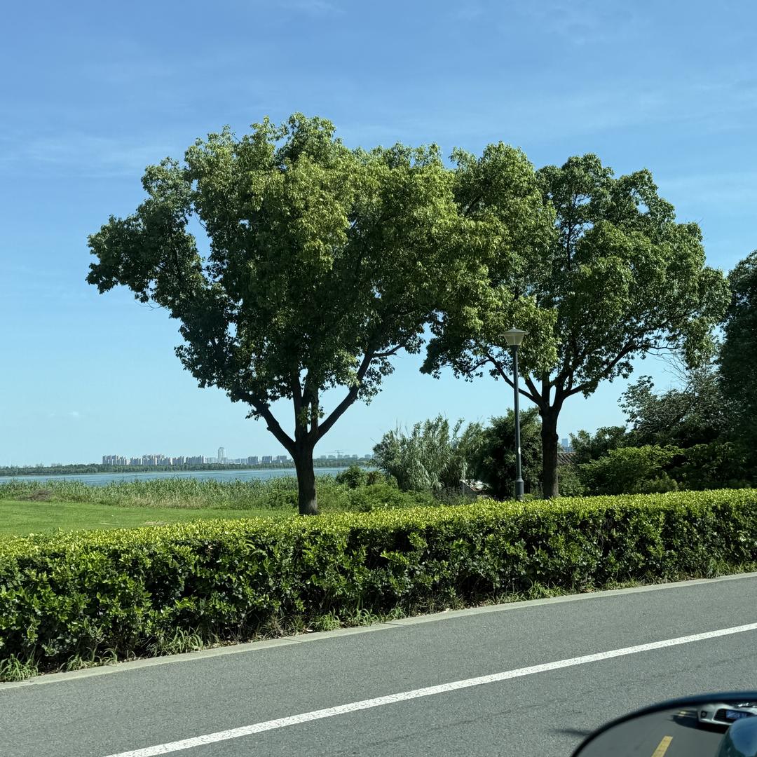 海宁市蓝鲸服饰