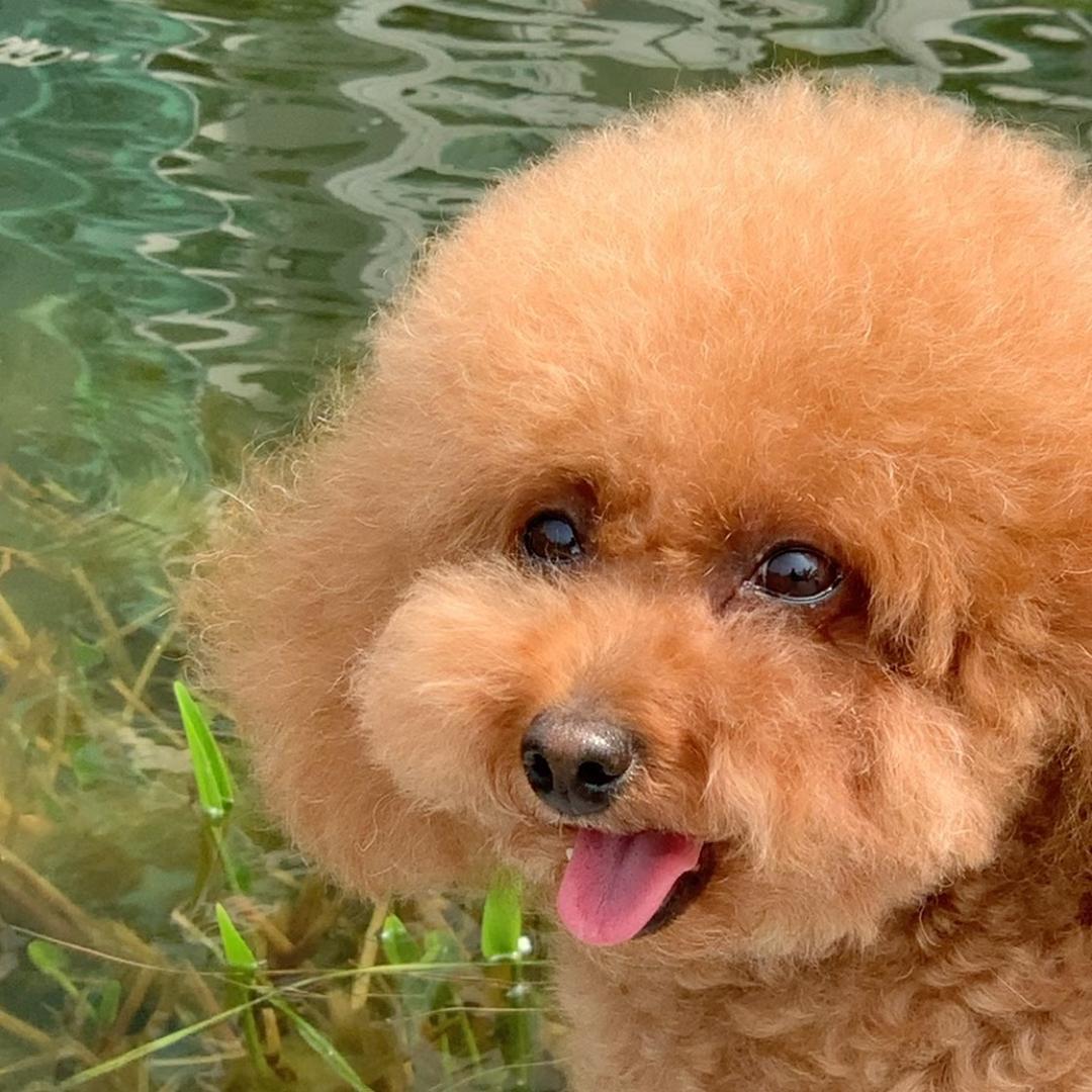 😃难得糊涂