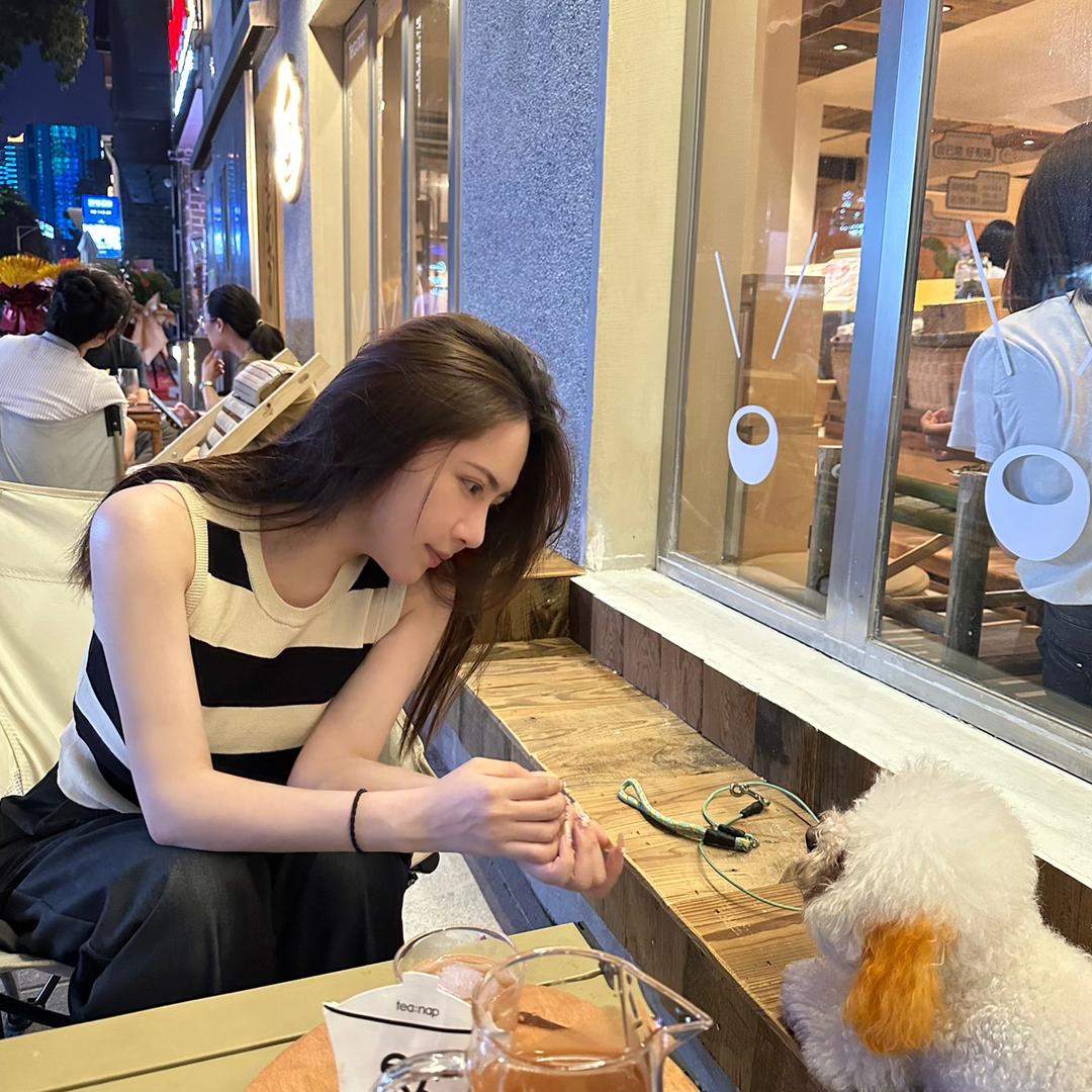杨了个杨.