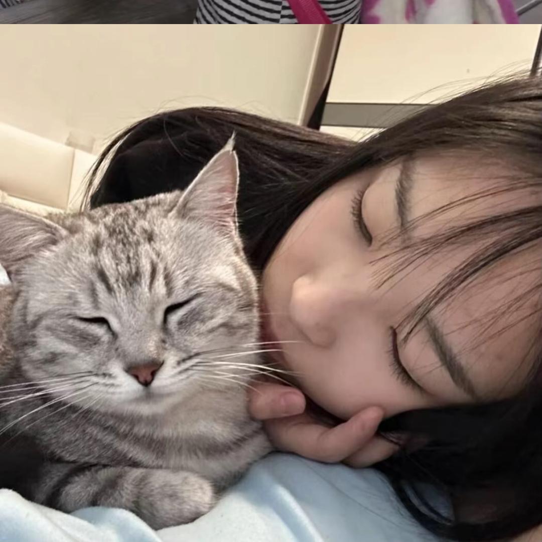 蜜汁水蜜桃