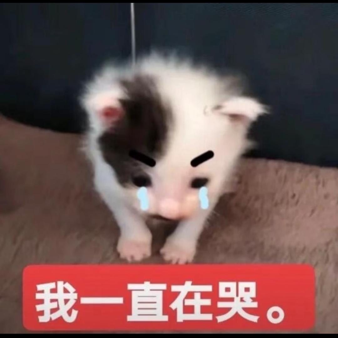 饭饭🍥