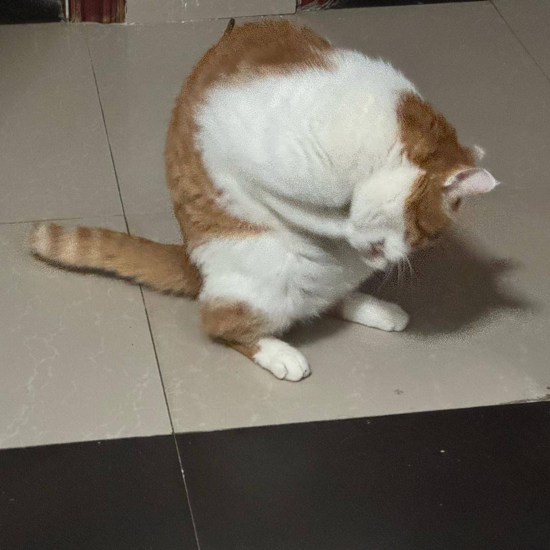 何休🐟可桂