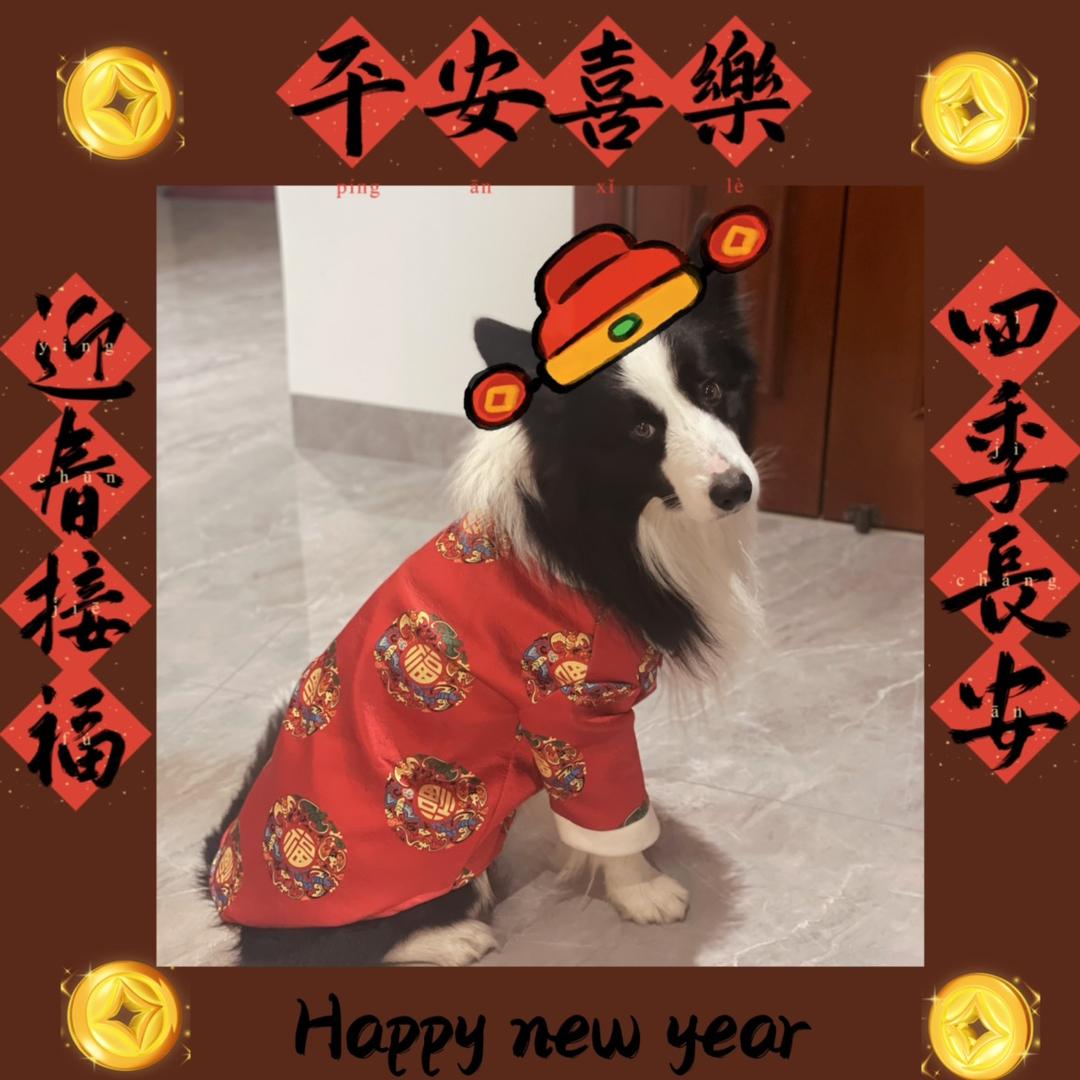 奋豆的